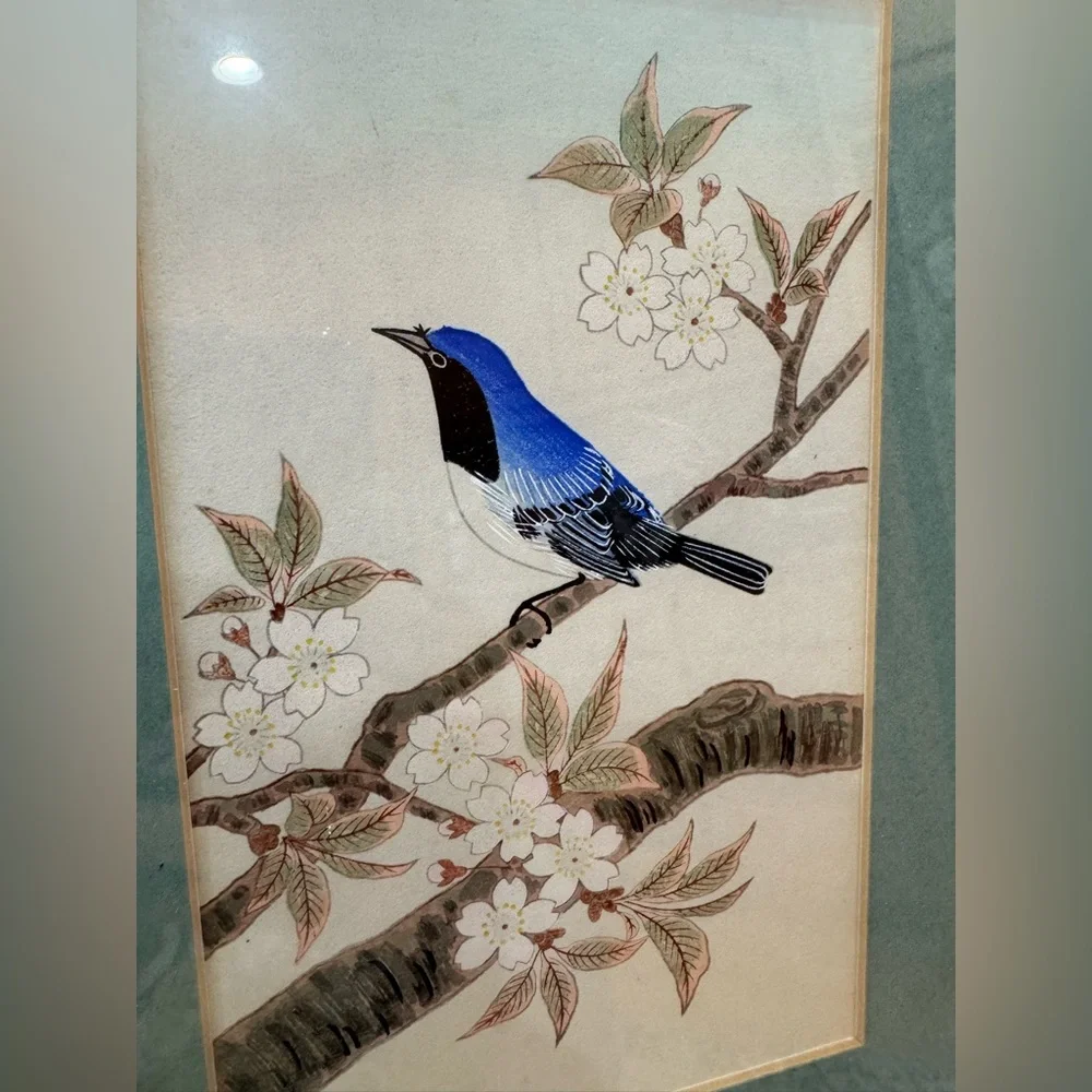 Framed vintage Botanical bird Art Prints with silver Frames